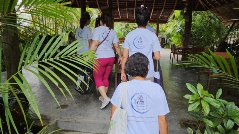 200-hour yoga and Ayurveda teacher training at Singh Yoga and Ayurveda School