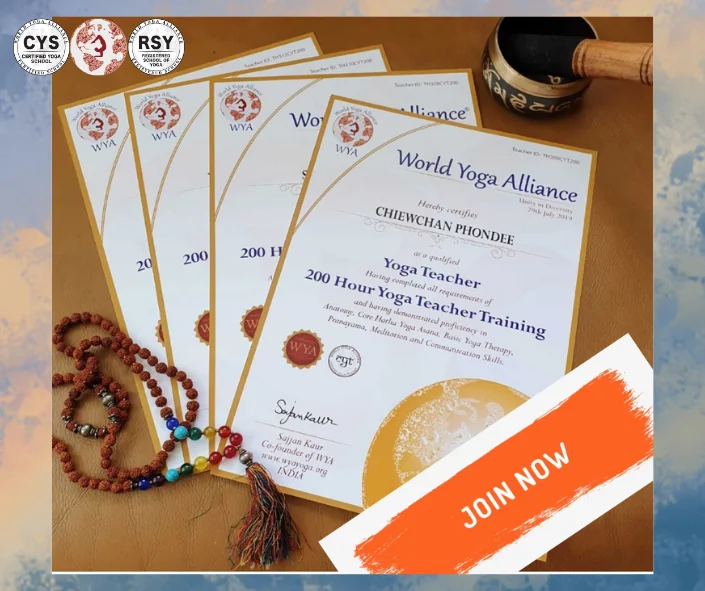 200 hrs Vinyasa Yoga teacher training at Singh Yoga and Ayurveda School