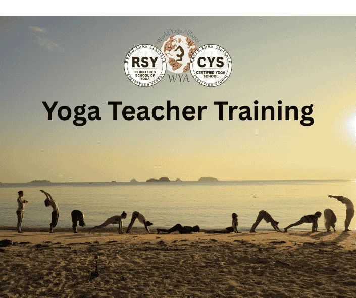 Yoga teacher training program offering professional yoga education and holistic teaching practice